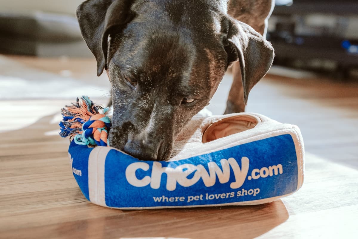 Mga Pet Hotel at Boarding Facility